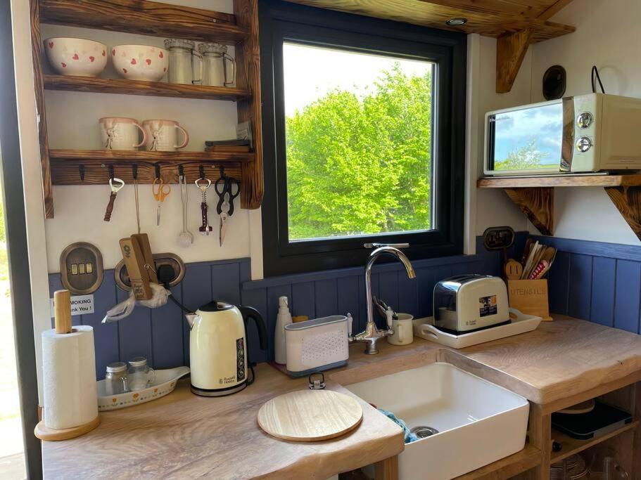 Pembrokeshire Shepherd Hut With Hottub Apartment